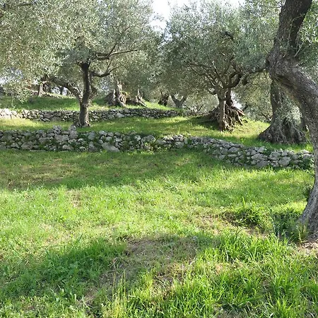 Casa Vacanze Uliveto *