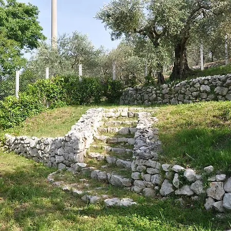 Casa Vacanze Uliveto Casa vacanze *