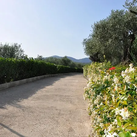 Casa Vacanze Uliveto