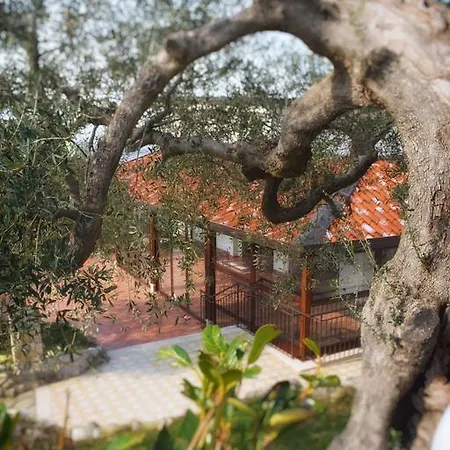 Casa Vacanze Uliveto Tufino